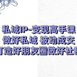 私域IP变现高手课：做好私域被动成交，打造好朋友圈做好社群（18节）