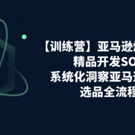 亚马逊爆款打造之精品开发SOP【训练营】，系统化洞察亚马逊精品选品全流程