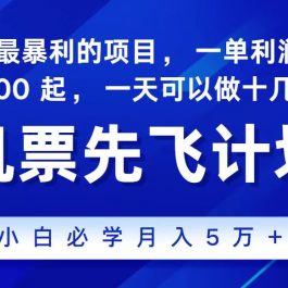 2024最新项目冷门暴利，整个暑假都是高爆发期，一单利润300+，每天可批量操作十几单