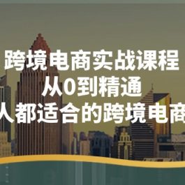 跨境电商实战课程：从0到精通，人人都适合的跨境电商课（14节课）