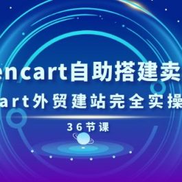 玩转zencart自助搭建卖货商城，zencart外贸建站完全实操手册（36节课）