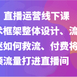 直播运营线下课-话术框架整体设计、流量低迷如何救流、付费将短视频流量打进直播间