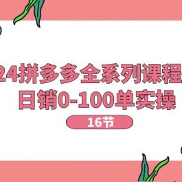 （11222期）2024拼多多全系列课程实操，日销0-100单实操【16节课】