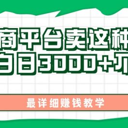 （11206期）最新在电商平台发布这种产品，新手小白日入3000+不成问题，最详细赚钱教学