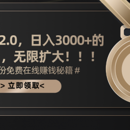 （11196期）搜狐撸金2.0日入3000+，可无限扩大的翻身项目