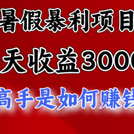 暑假暴力项目 1天收益3000+，视频号，快手，不露脸直播.次日结算