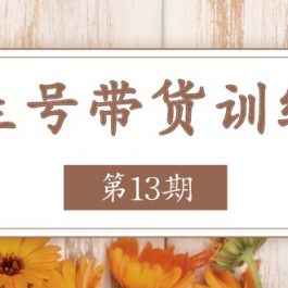 养生号带货训练营【第13期】收益更稳定的玩法，让你带货收益爆炸