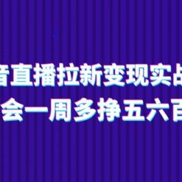 抖音直播拉新变现实操课，学会一周多挣五六百（15节课）