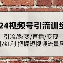 （11337期）2024视频号引流训练营：引流/裂变/直播/变现 获取红利 把握短视频流量风口