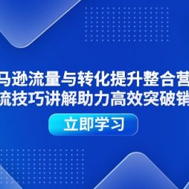 （11335期）亚马逊流量与转化提升整合营销，多种引流技巧讲解助力高效突破销量瓶颈