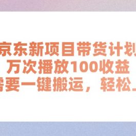 （11300期）京东新项目带货计划，万次播放100收益，只需要一键搬运，轻松上手