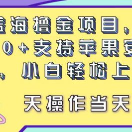 （11287期）最新蓝海撸金项目，单号一天50+， 支持苹果安卓双端，小白轻松上手 当…