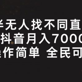 半无人找不同直播，月入7000+，操作简单 全民可做