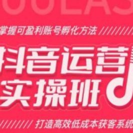 抖音运营实操班，掌握可盈利账号孵化方法，打造高效低成本获客系统