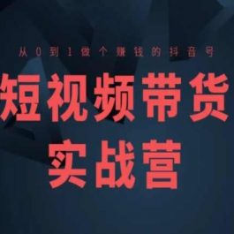 短视频带货实战营(高阶课)，从0到1做个赚钱的抖音号