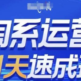 淘系运营21天速成班(更新24年6月)，0基础轻松搞定淘系运营，不做假把式