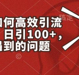 小红书如何高效引流创业粉，日引100+，解决你遇到的问题